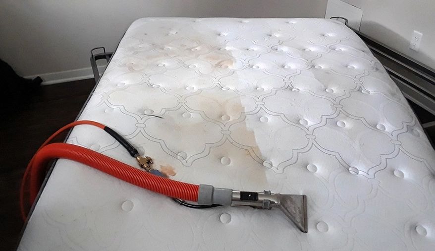 Mattress cleaning service